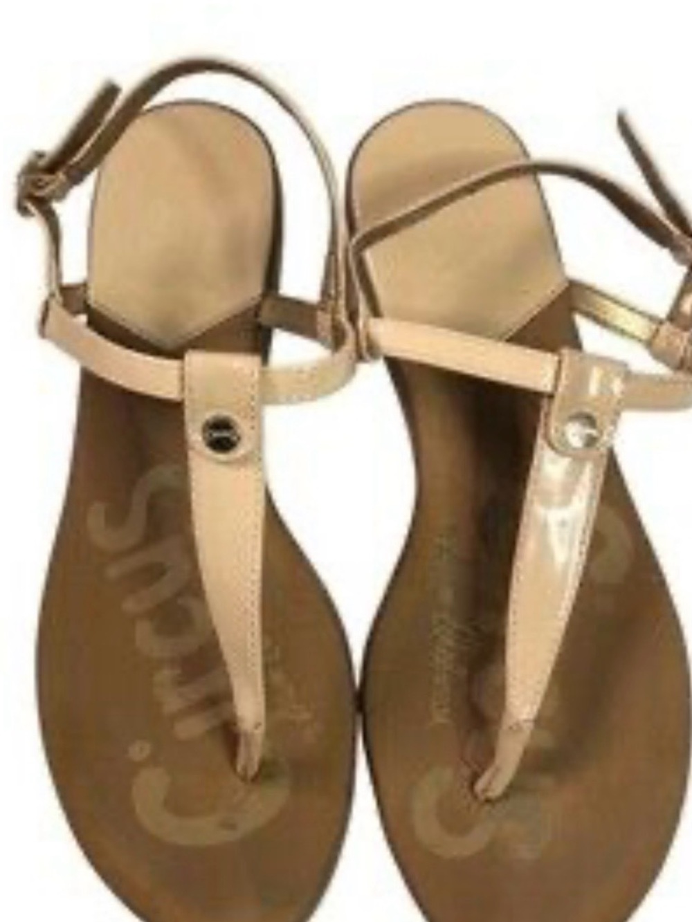 Womens circus by sam edelman